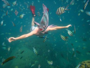 foto scattate al momento giusto - pesce